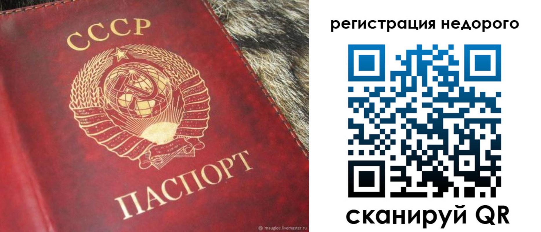 прописка ребенка в Приморском крае